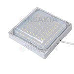 Cold storage Light