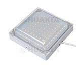 Cold storage Light